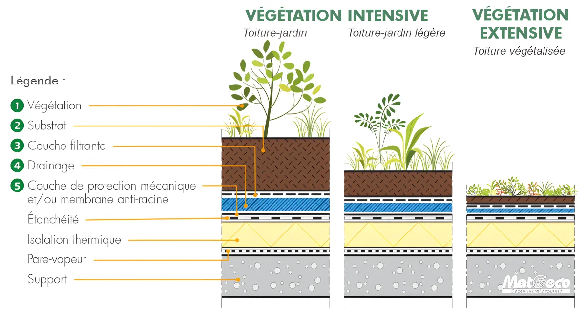 Comparaison des toitures végétalisées selon l’épaisseur du substrat et le type de plantation.