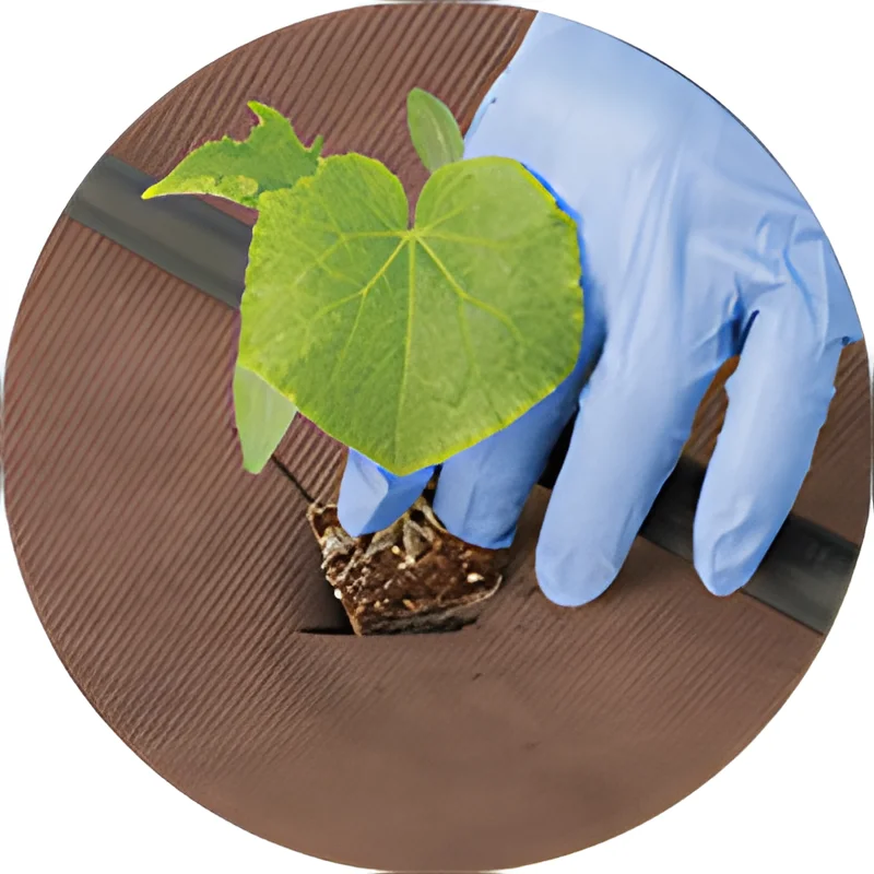 Het anti-worteldoek TexiWeed Brown stimuleert de groei van uw aanplantingen