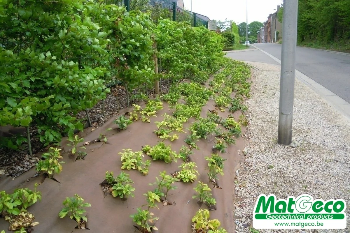 Géotextile de plantation brun exemple de réalisation - BioWeedtex