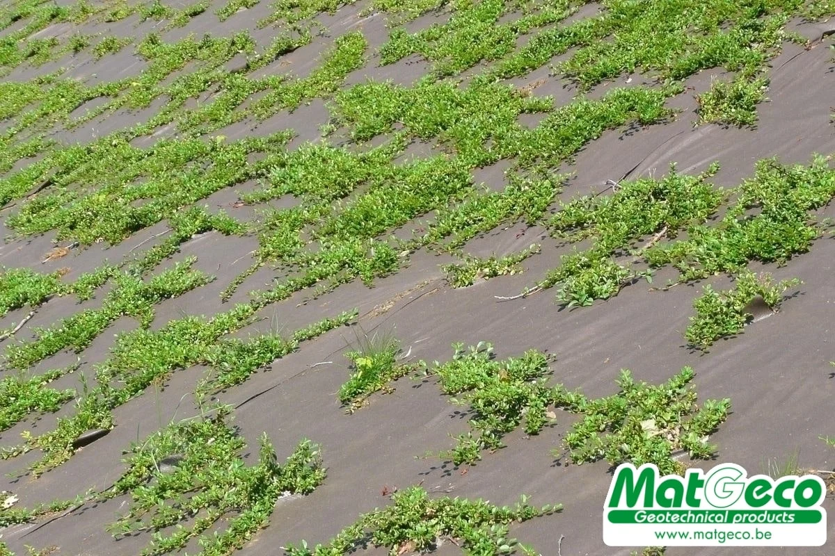 BioWeedtex géotextile de paillage anti-mauvaise herbes brun