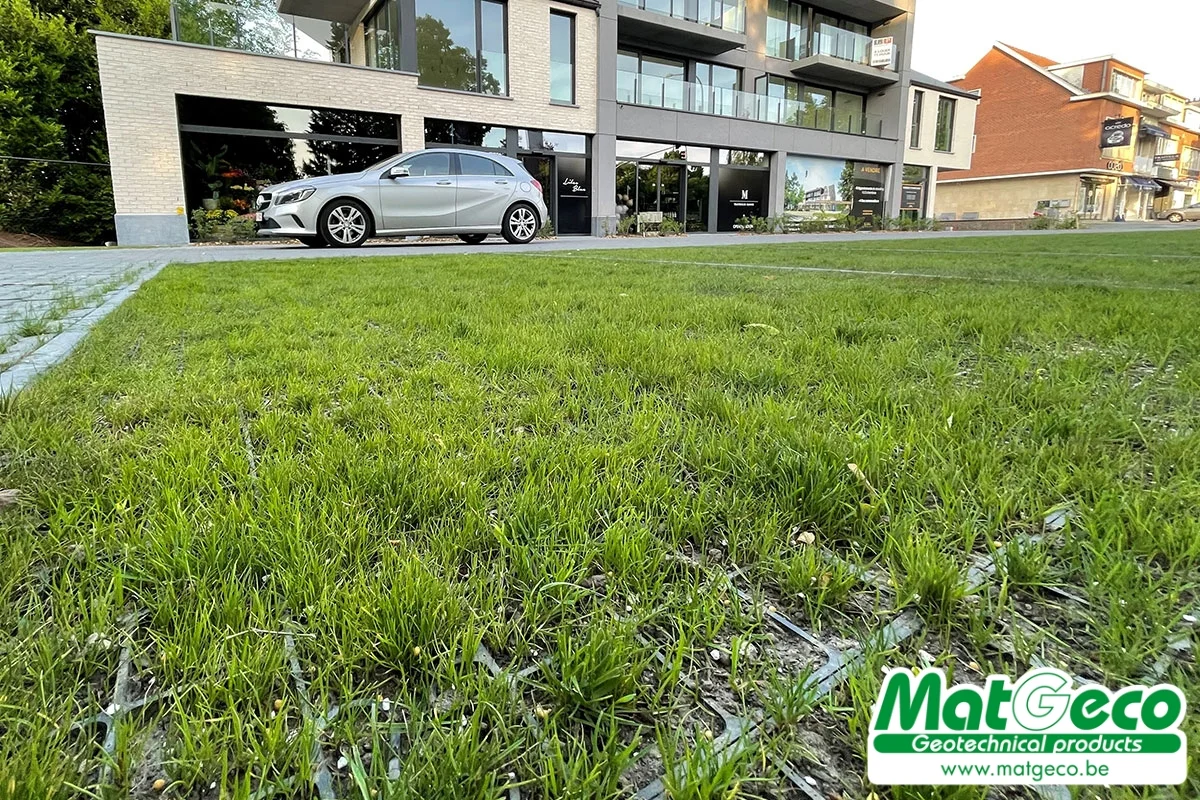 Parking met gras uitgevoerd in GeoDal 50