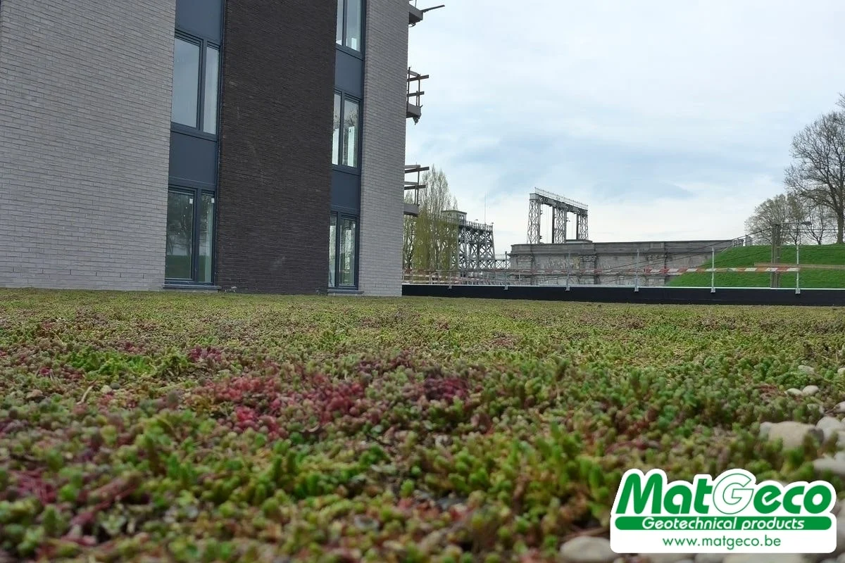 Sedum StockDrain om snel een groendak te realiseren