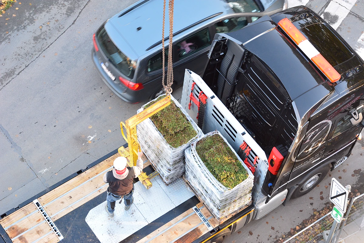 Sedumbakken voor extensieve groendaken - Sedum StockDrain