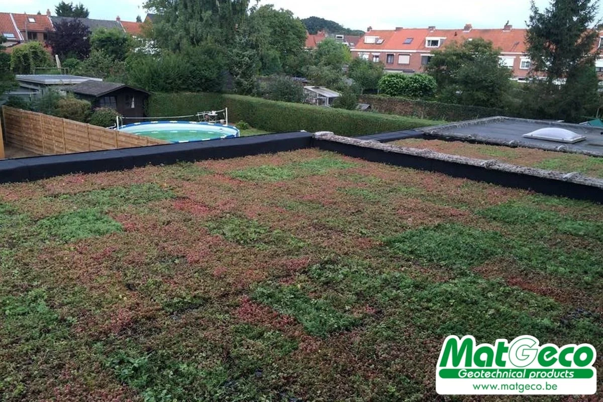 Sedum StockDrain sedumbakken voor extensieve dakbegroening