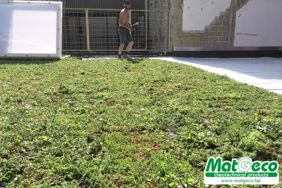 Sedum StockDrain met HydraLook: inspectieput voor groendaken