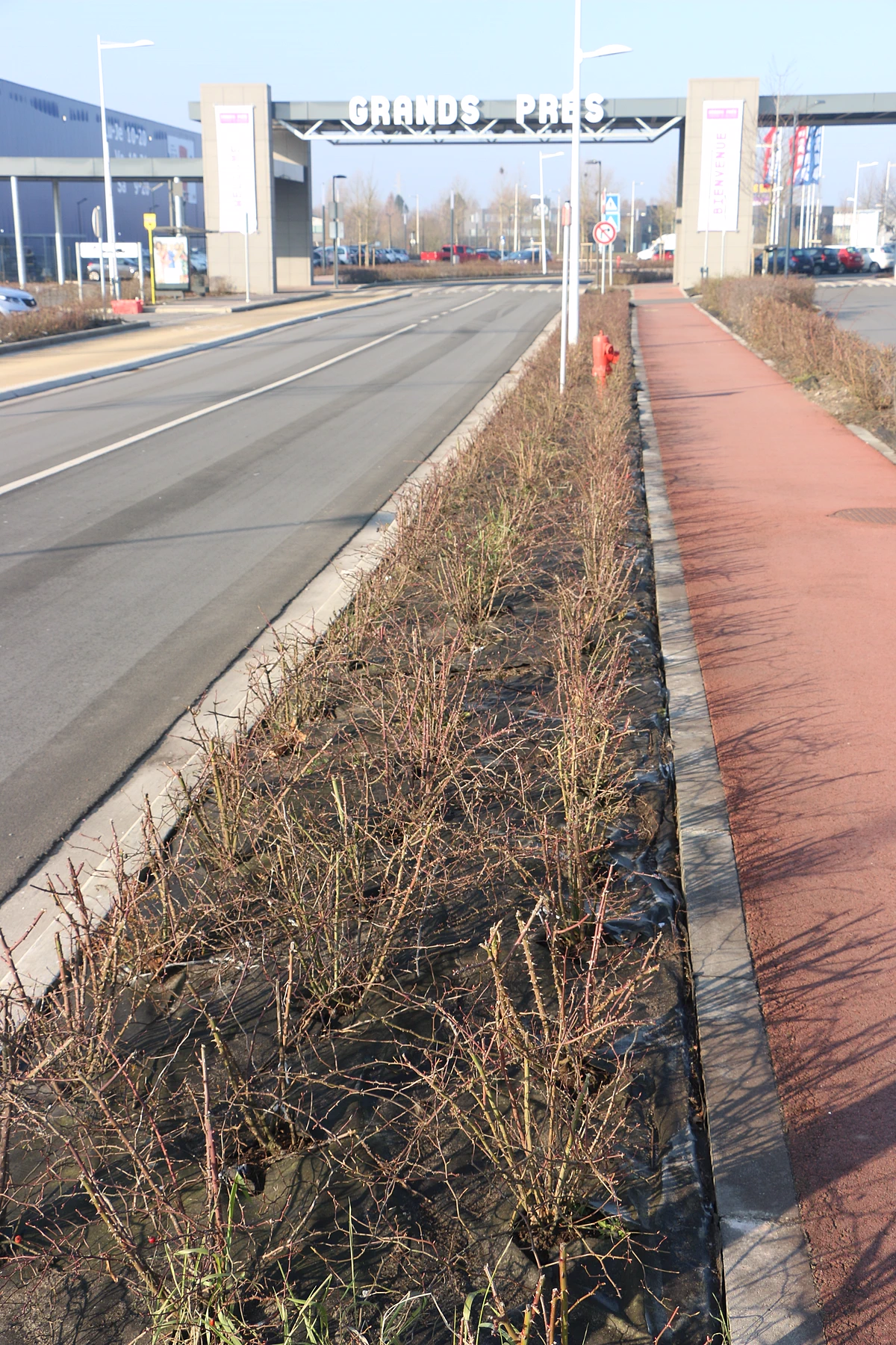 De Weedtex vermijdt de groei van onkruid, het wordt dus gebruikt als anti-worteldoek