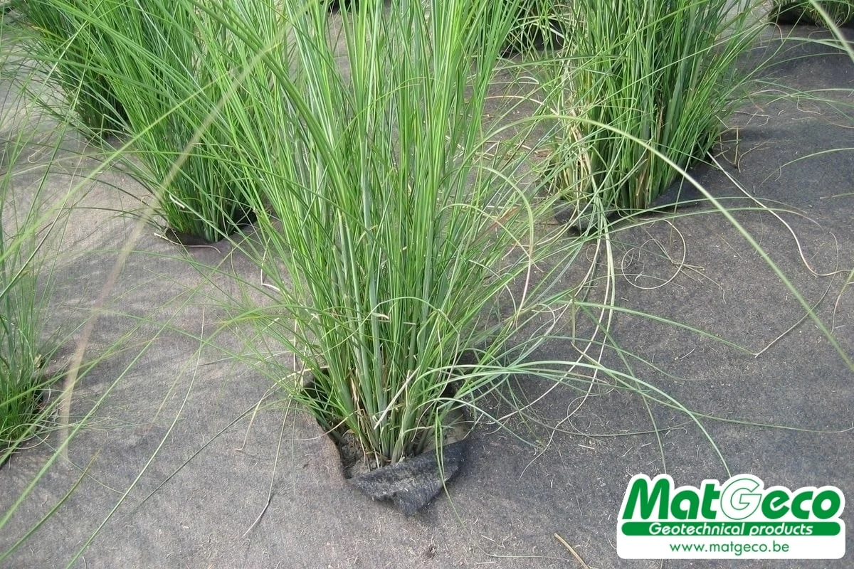 Weedtex le géotextile de paillage anti-mauvaise herbe noir - MatGeco