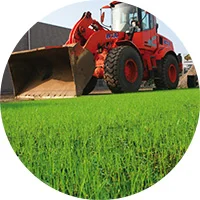 Met zijn groene kleur is deze plaat perfect voor een opvulling met gras