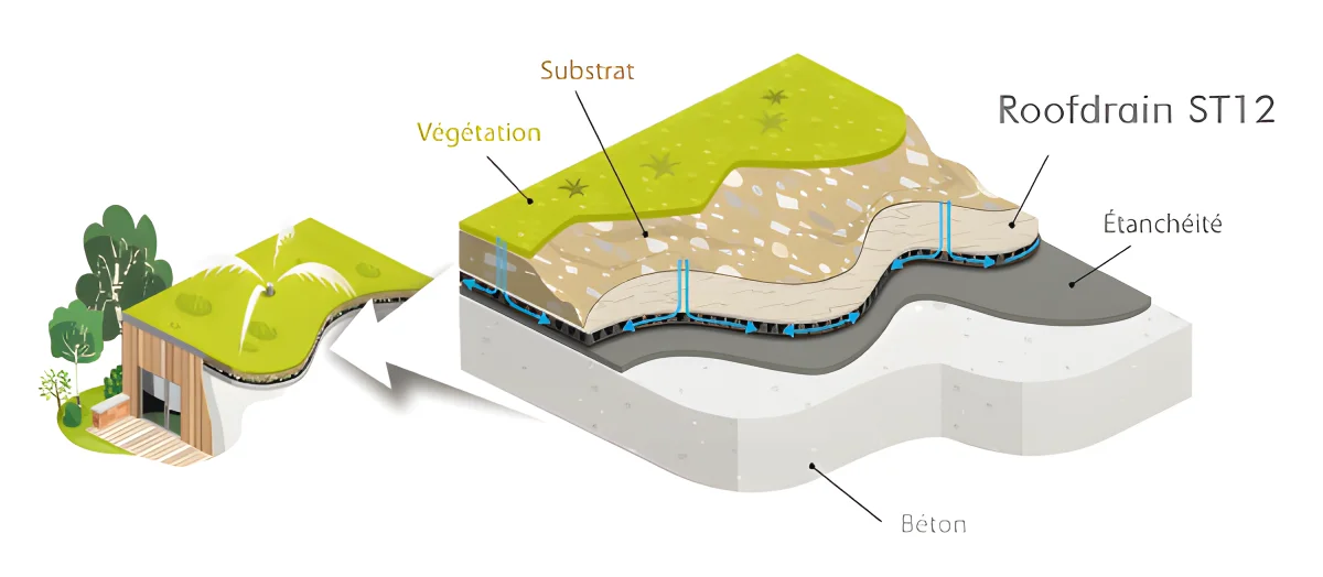 RoofDrain : drainage horizontal des toitures vertes extensives et intensives