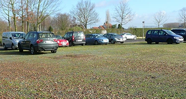 Grille de protection pour parking en gazon existant : GeoDal 25