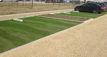 De discrete en stevige groene grasplaat