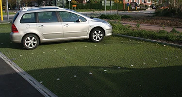 De grasplaat met honingraatstructuur