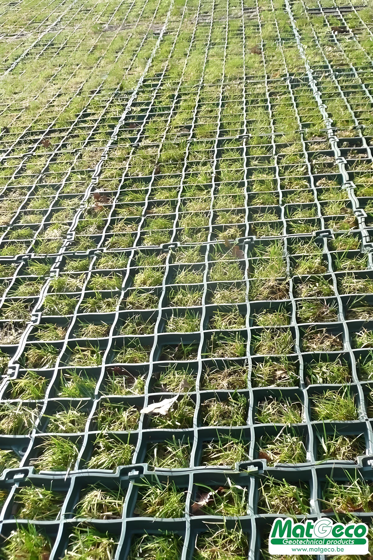 GridaPark het verstevigend grasraster voor bestaande grasperken - MatGeco