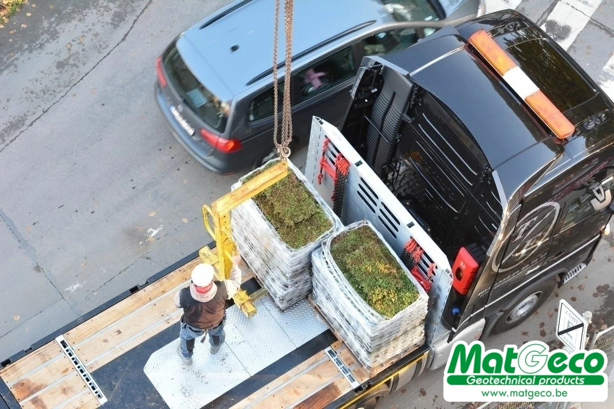 Sedum Stockdrain bac en PE-HD avec du sedum pour une pose de toiture verte rapide et facile