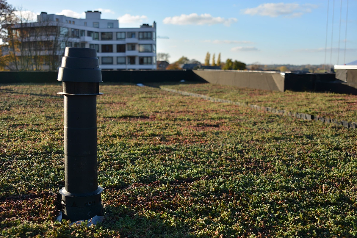 Sedum Stockdrain bacs en plastiques déjà prêt pour toiture verte