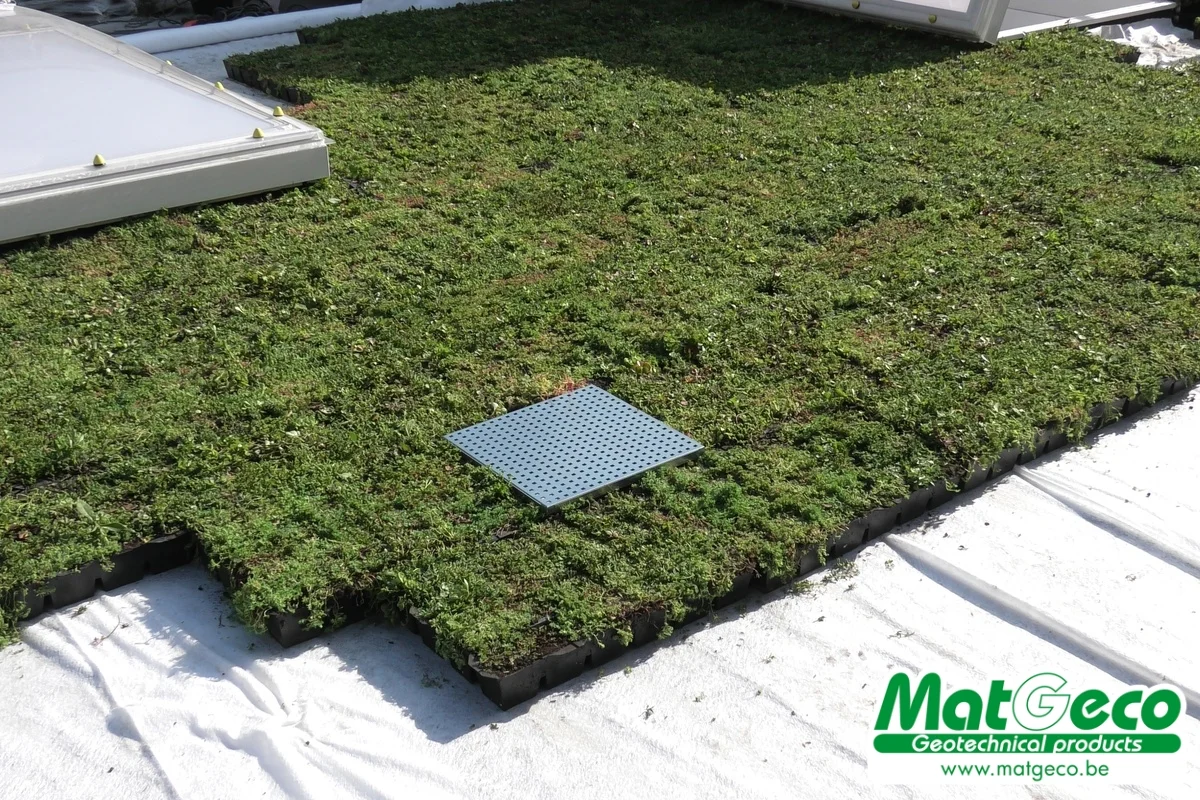 Sedum StockDrain avec HydraLook : grille d'avaloir pour toiture végétalisée